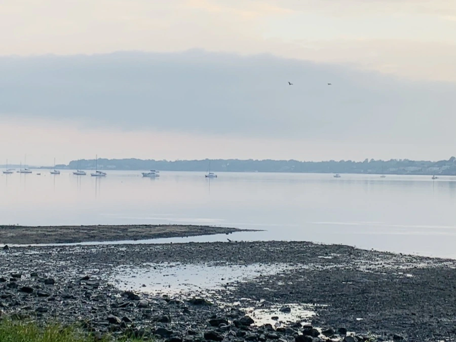 IMG_8217.jpg?type=w966