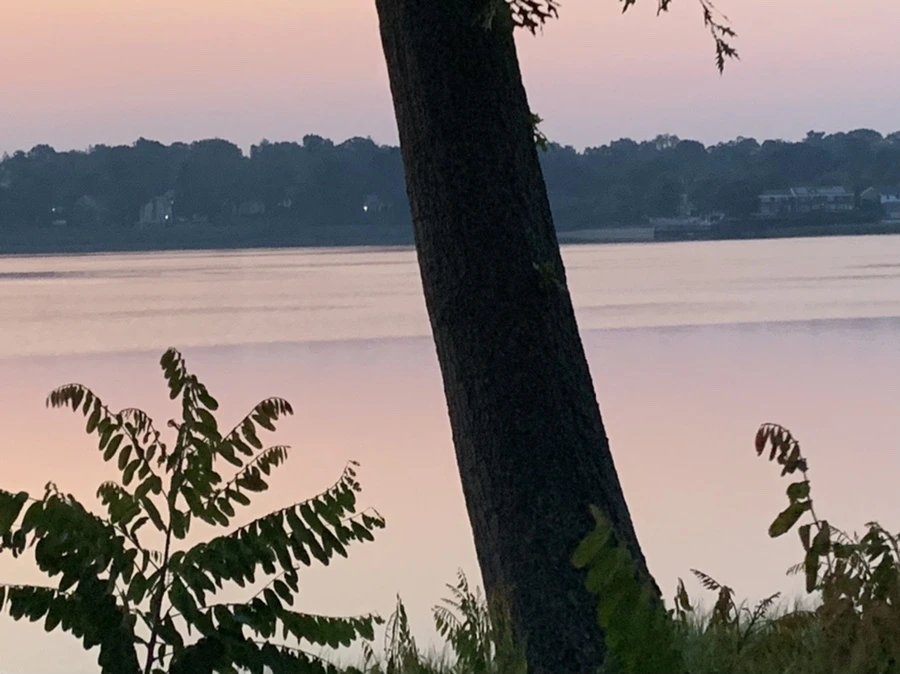 IMG_1849.jpg?type=w966