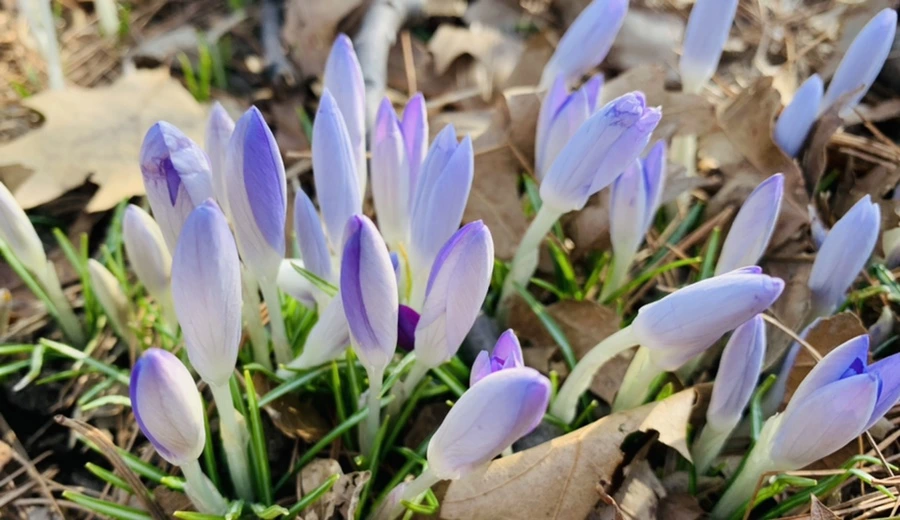 IMG_0100.jpg?type=w966