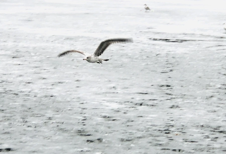 IMG_5579.jpg?type=w966