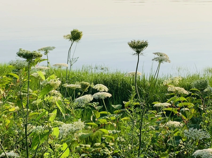 IMG_6467.jpg?type=w966