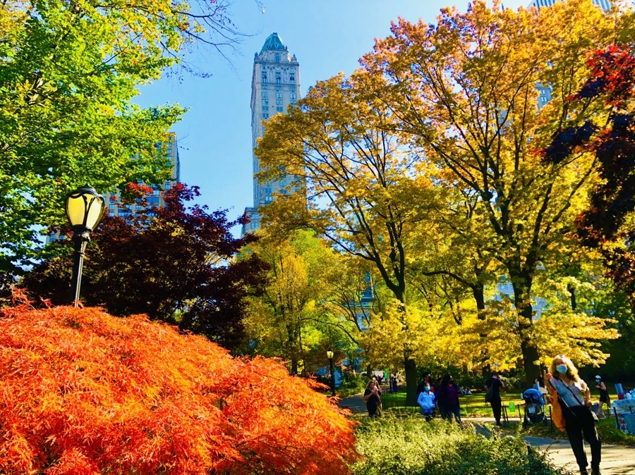 IMG_3776.jpg?type=w966