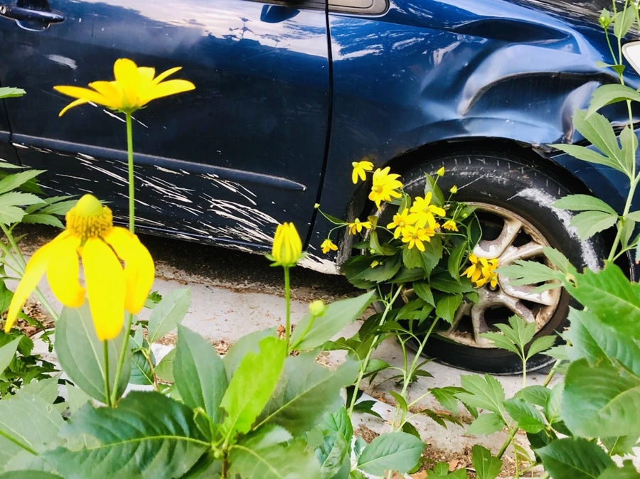 IMG_3624.jpg?type=w966