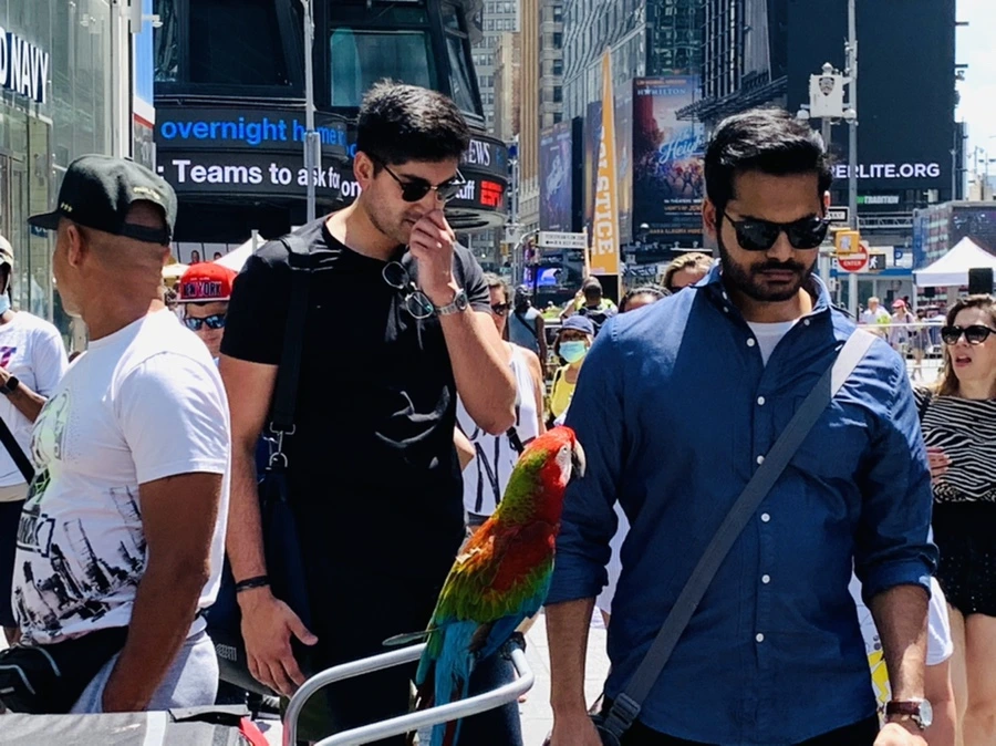 IMG_5445.jpg?type=w966