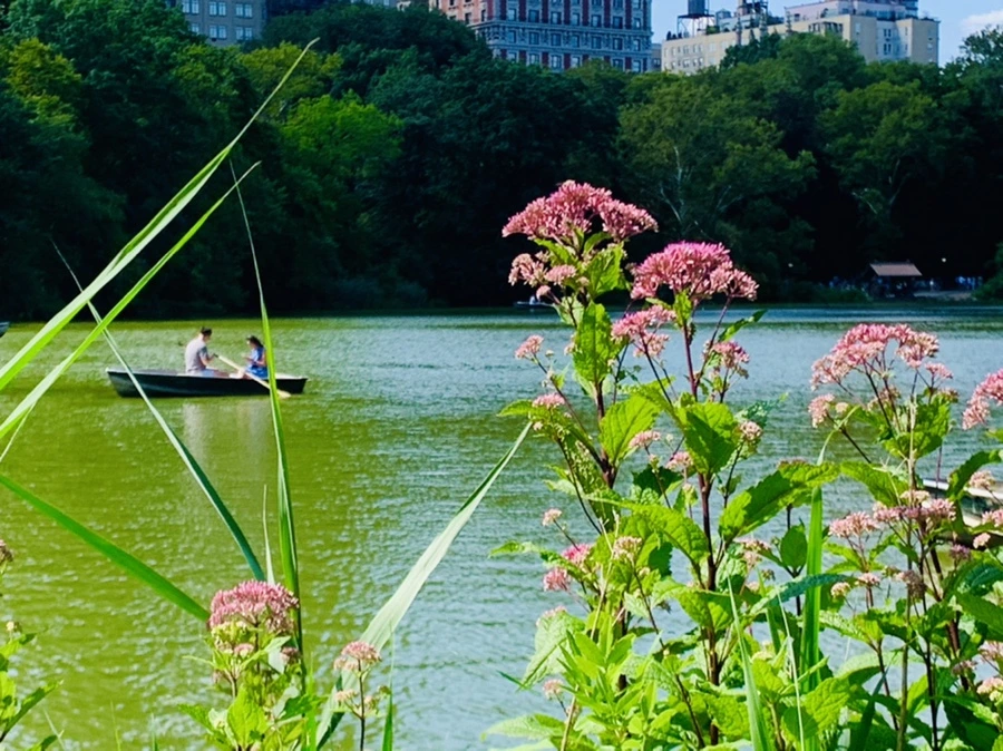 IMG_4460.jpg?type=w966