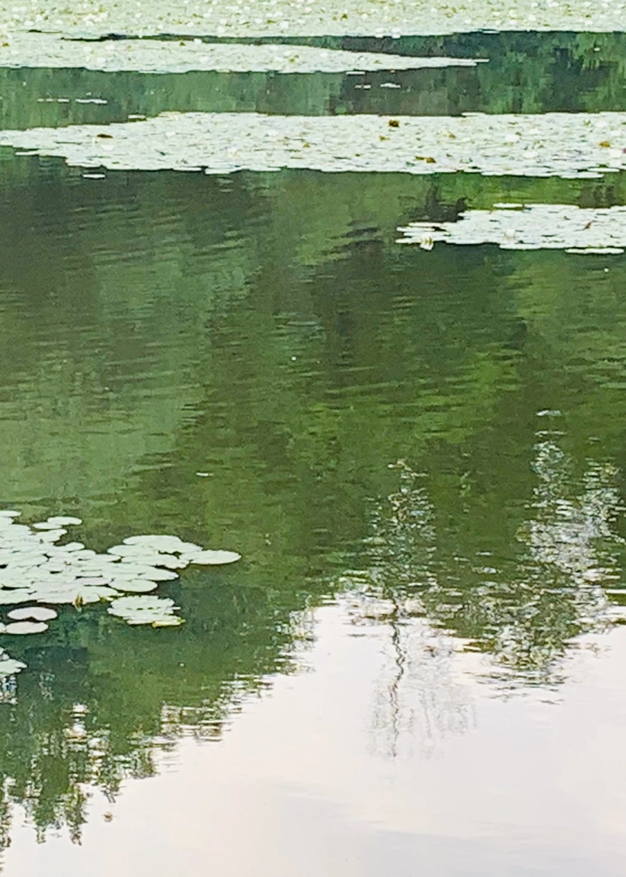 IMG_1499.jpg?type=w966