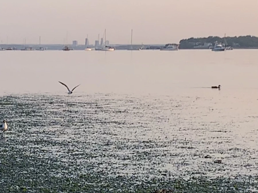 IMG_9612.jpg?type=w966