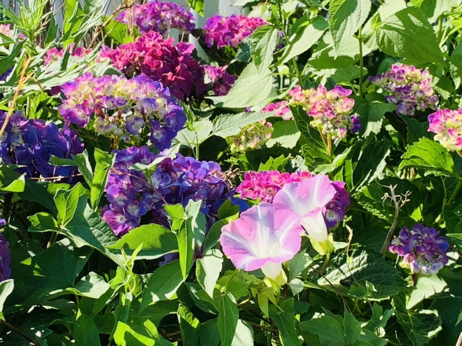 IMG_8673.jpg?type=w966