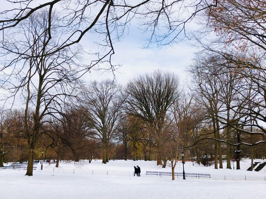 IMG_7332.jpg?type=w966