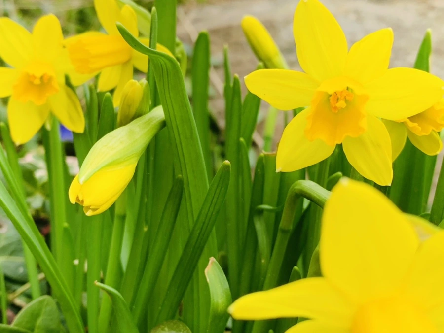 IMG_3200.jpg?type=w966