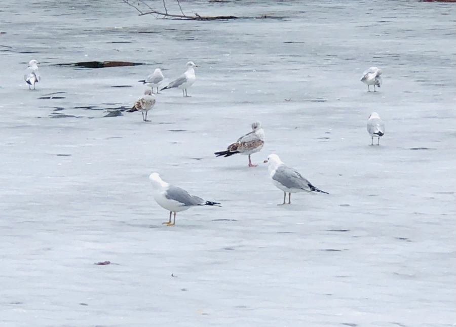 IMG_6351.jpg?type=w966