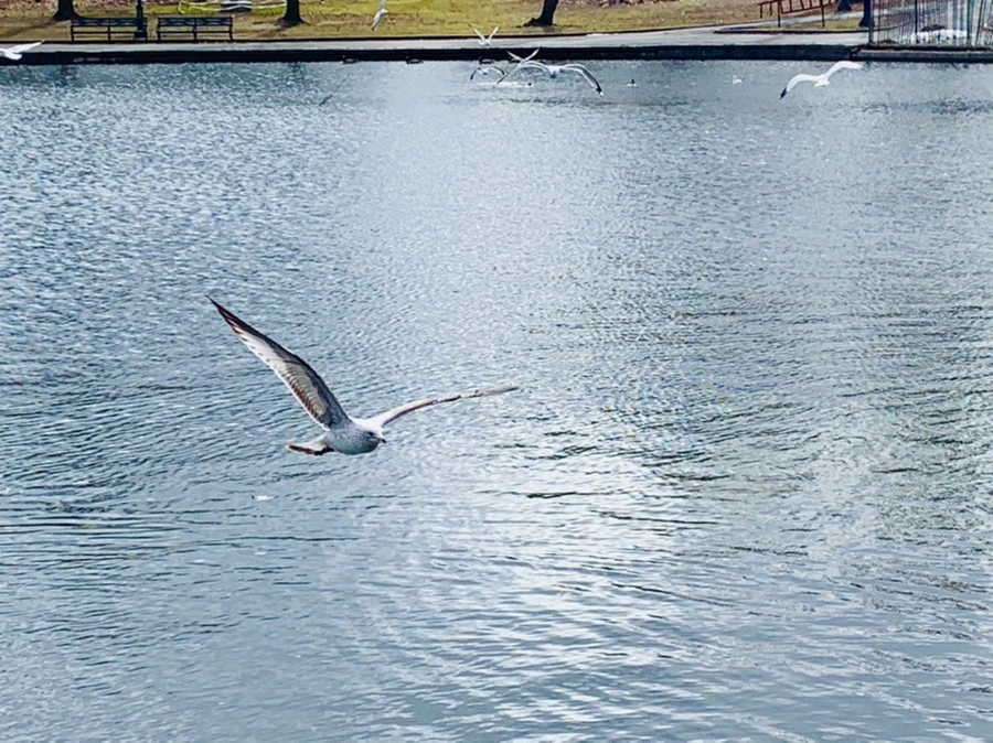 IMG_7941.jpg?type=w966