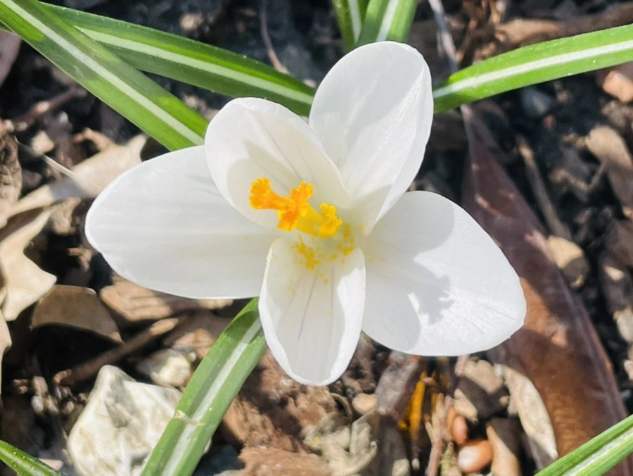 IMG_5587.jpg?type=w966