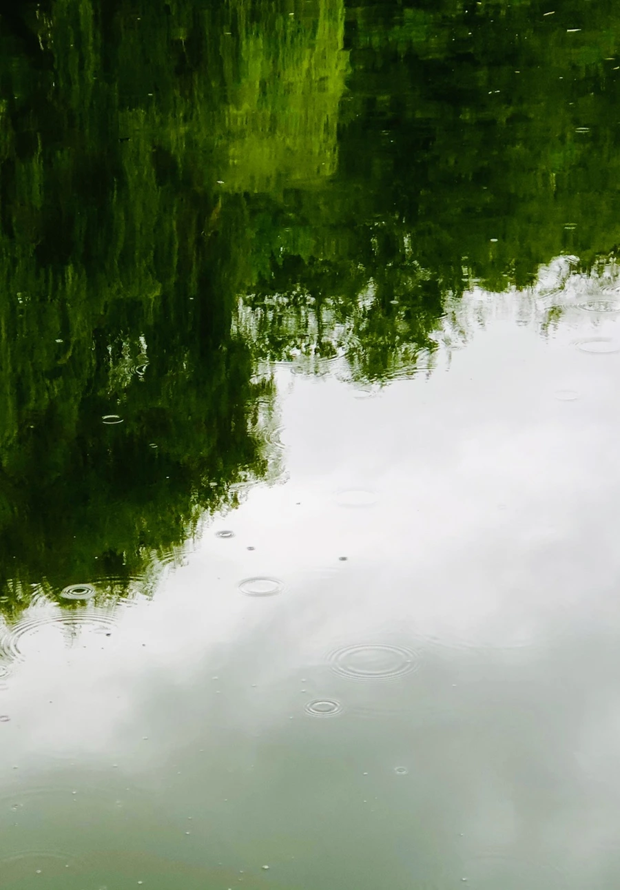 IMG_3239.jpg?type=w966