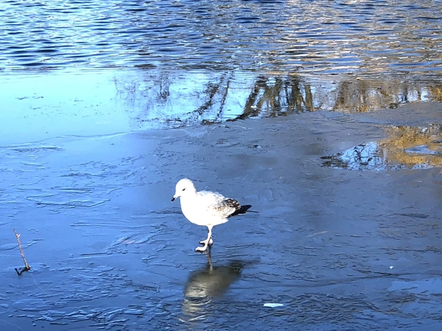 IMG_0554.jpg?type=w966