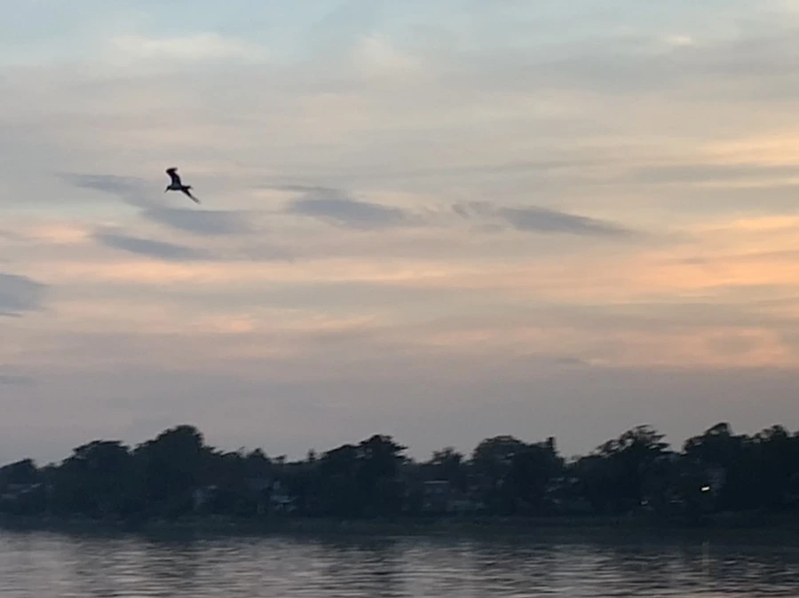 IMG_6777.jpg?type=w966