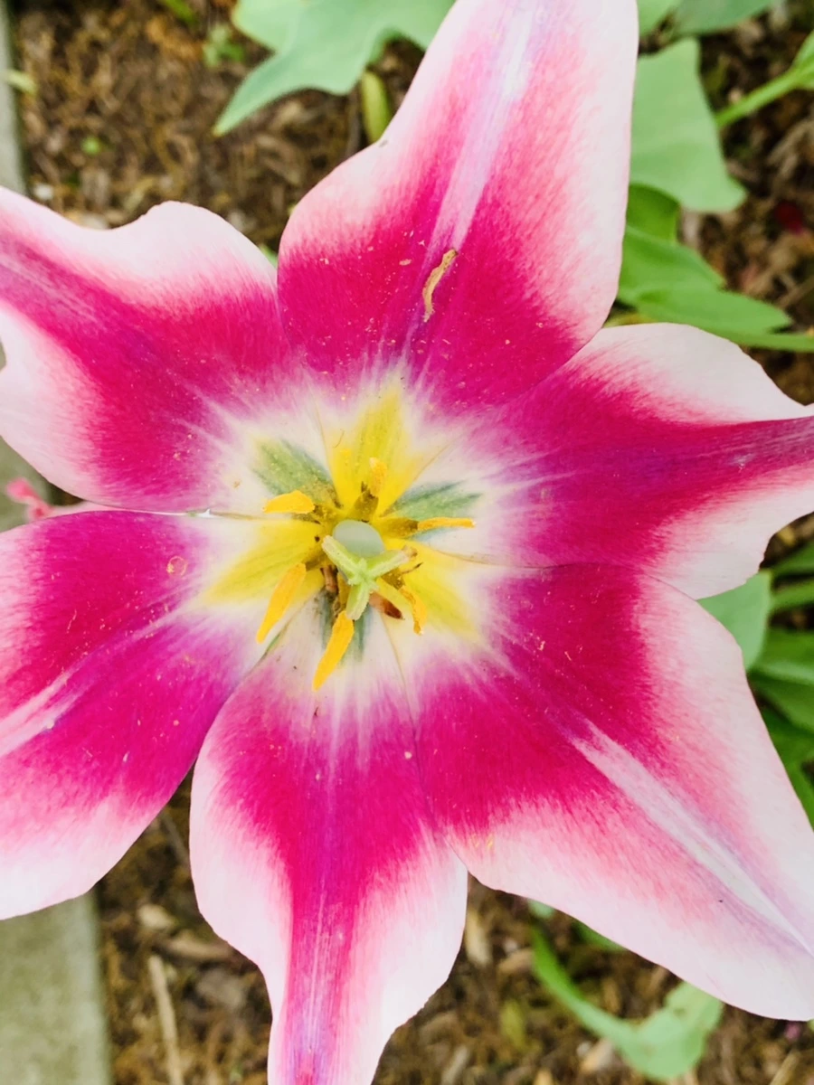 IMG_1307.jpg?type=w966