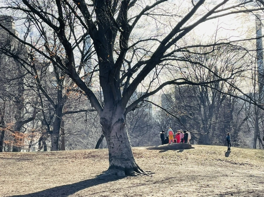 IMG_0452.jpg?type=w966