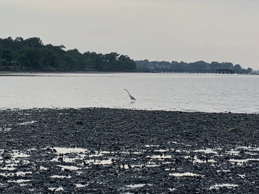 IMG_8203.jpg?type=w966