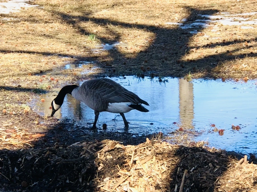 IMG_4655.jpg?type=w966