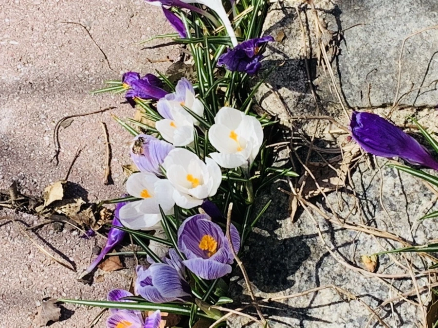 IMG_3287.jpg?type=w966