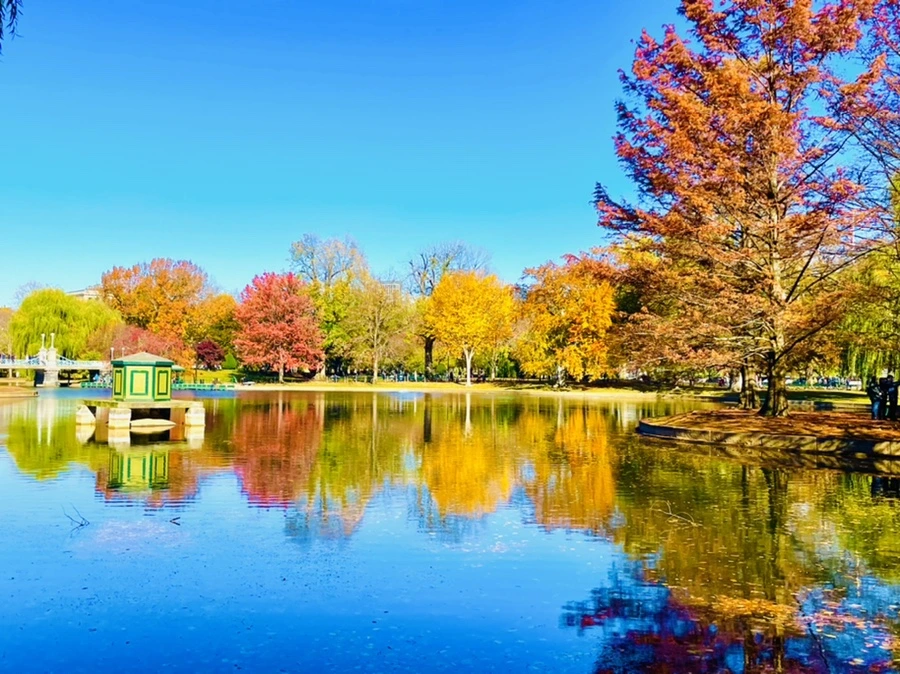 IMG_2590.jpg?type=w966