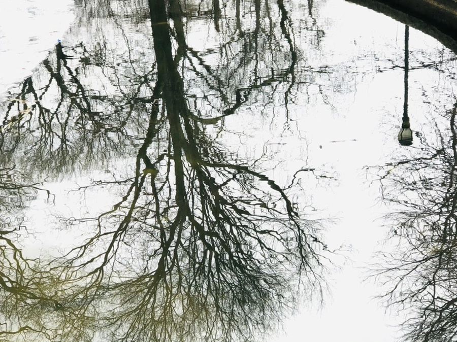 IMG_6493.jpg?type=w966