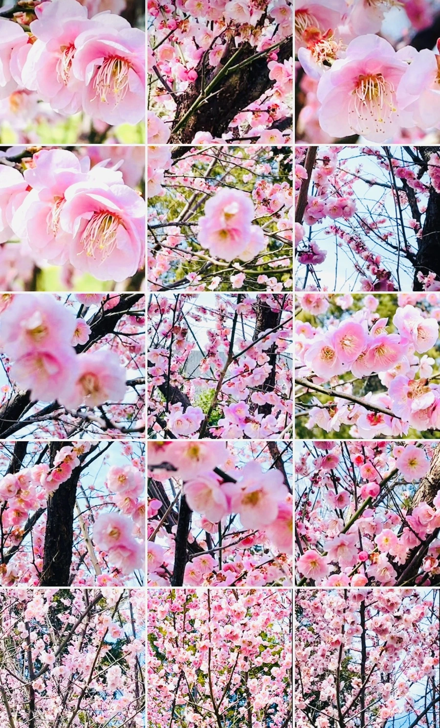 IMG_6644.jpg?type=w966