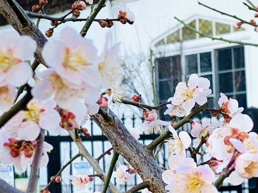 IMG_0884.jpg?type=w966