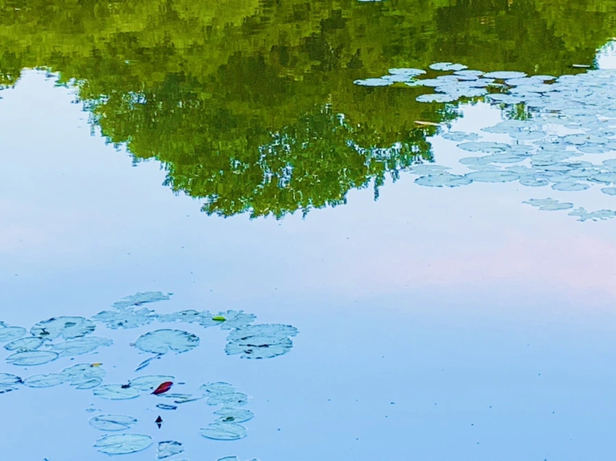 IMG_2980.jpg?type=w966