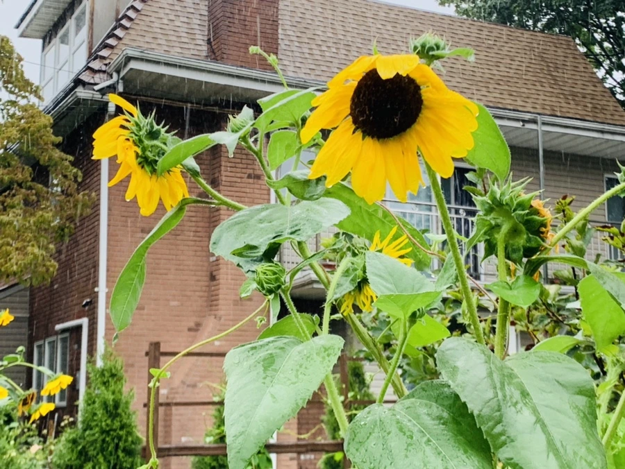 IMG_3815.jpg?type=w966