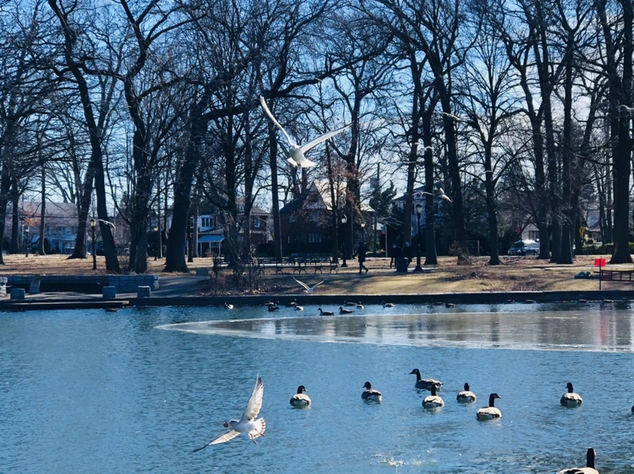 IMG_5407.jpg?type=w966