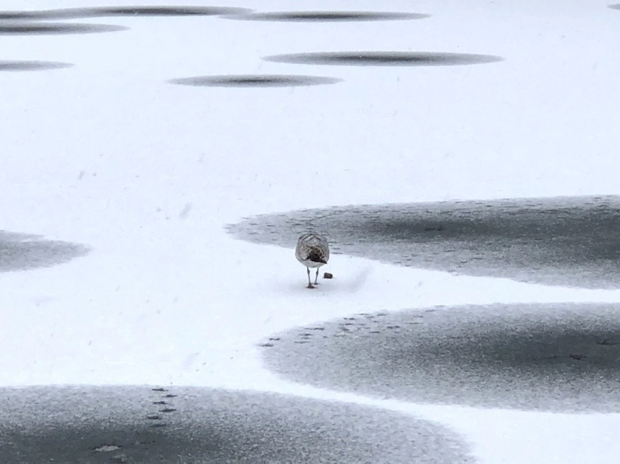 JfKPLsT0a1-lZ8VxUQEqSnZ_zS4