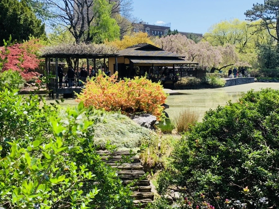 MTlocd_Ob__P4815z_cF1wZcFZc