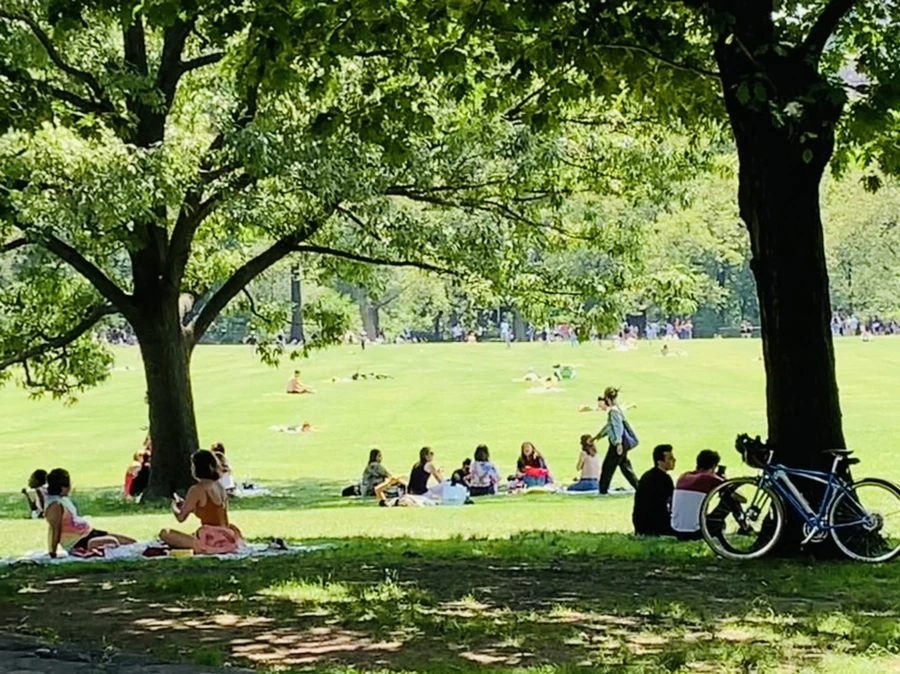 IMG_4978.jpg?type=w966