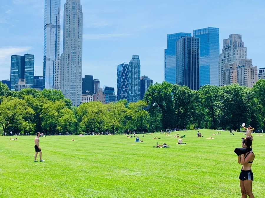 IMG_4937.jpg?type=w966