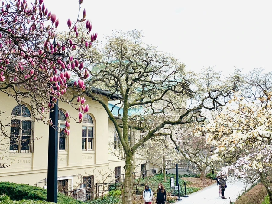 IMG_7127.jpg?type=w966