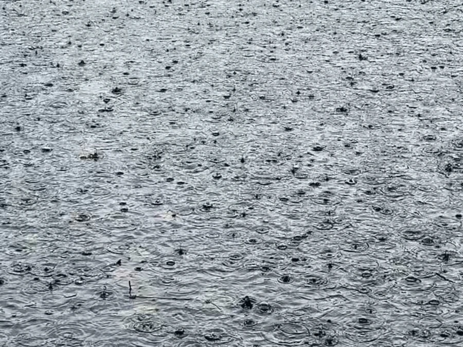 IMG_1736.jpg?type=w966