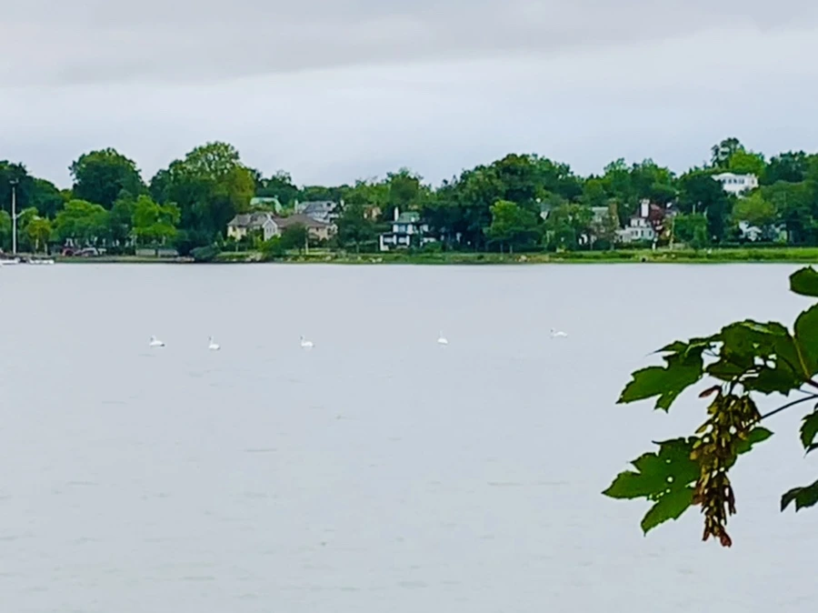 IMG_7726.jpg?type=w966