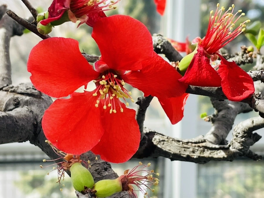 IMG_4186.jpg?type=w966