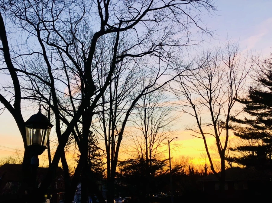 IMG_3290.jpg?type=w966