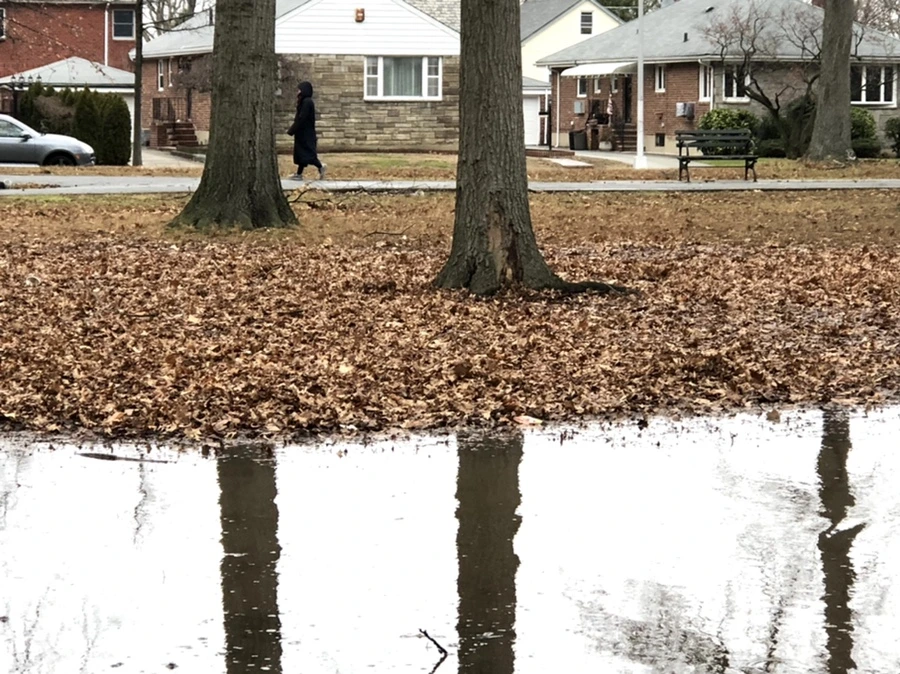 IMG_9668.jpg?type=w966