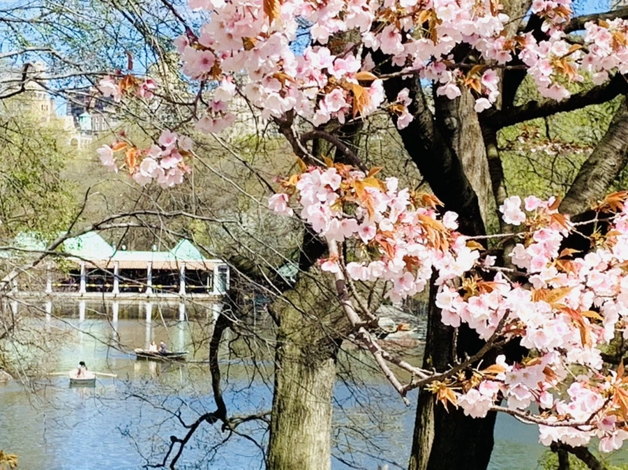 IMG_1796.jpg?type=w966