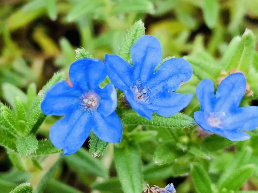 IMG_8931.jpg?type=w966