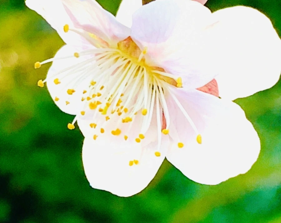 IMG_0797.jpg?type=w966