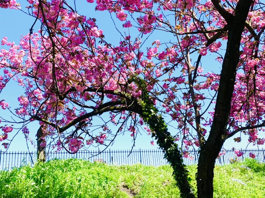 IMG_5940.jpg?type=w966