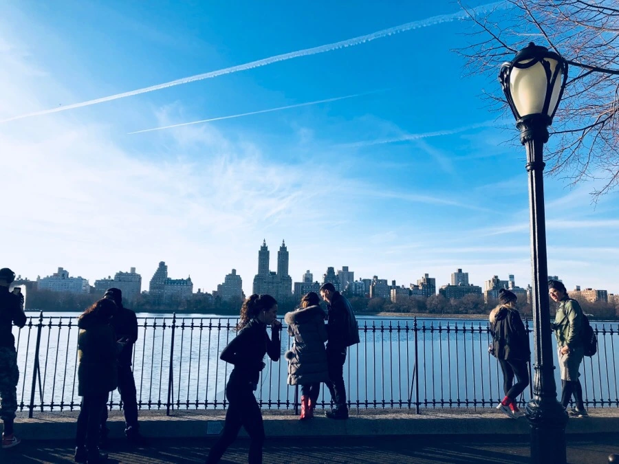 IMG_3206.jpg?type=w966