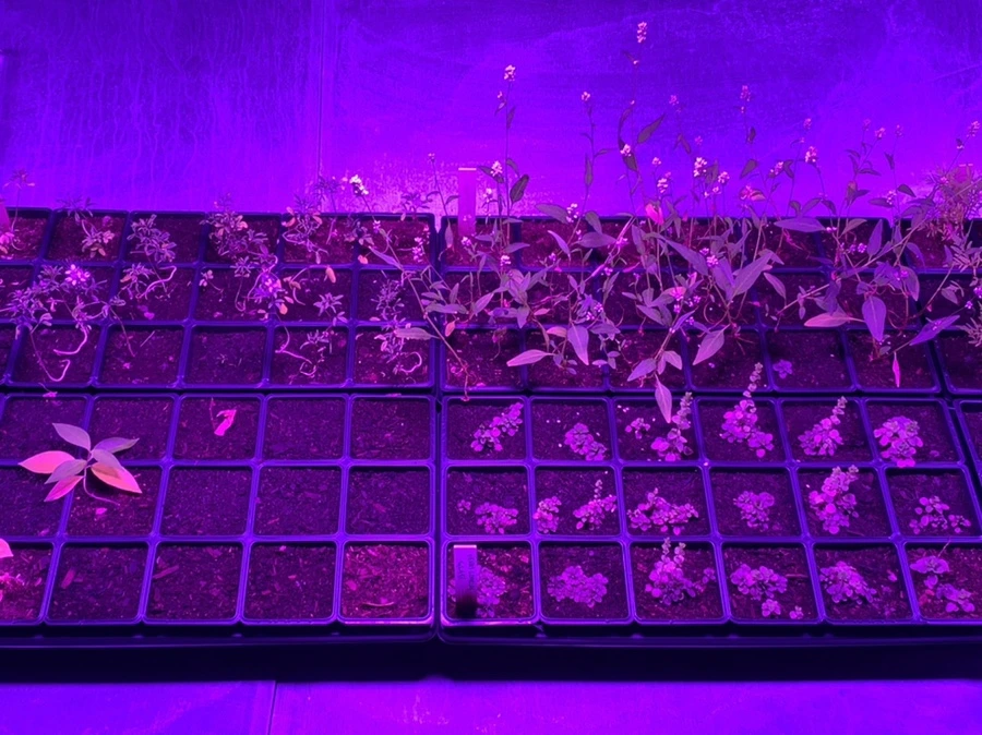 IMG_6790.jpg?type=w966