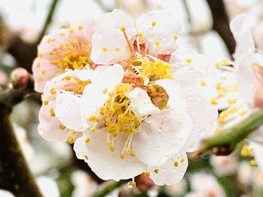 IMG_1943.jpg?type=w966