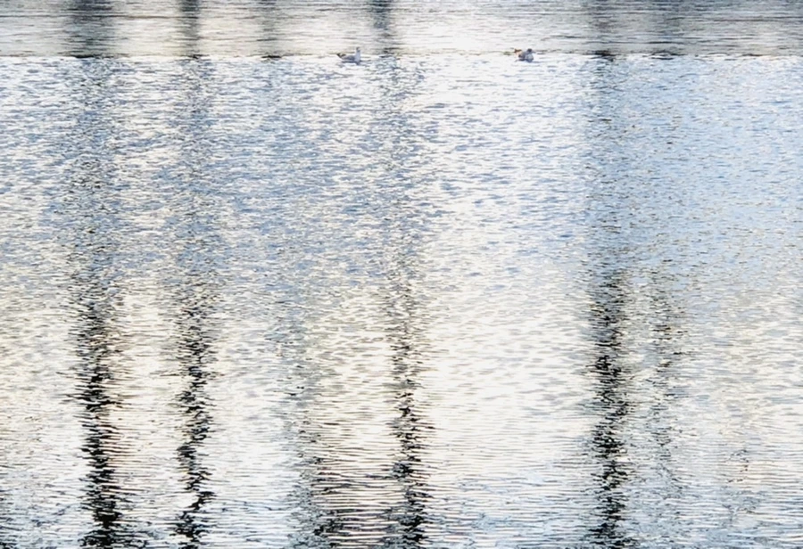 IMG_0806.jpg?type=w966